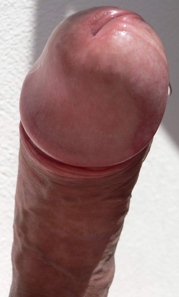 信じられないほどのザーメン画像 picture