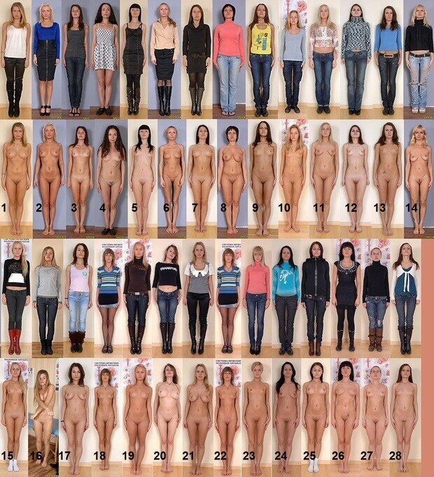 Mooie poesjes♡♡♡ picture