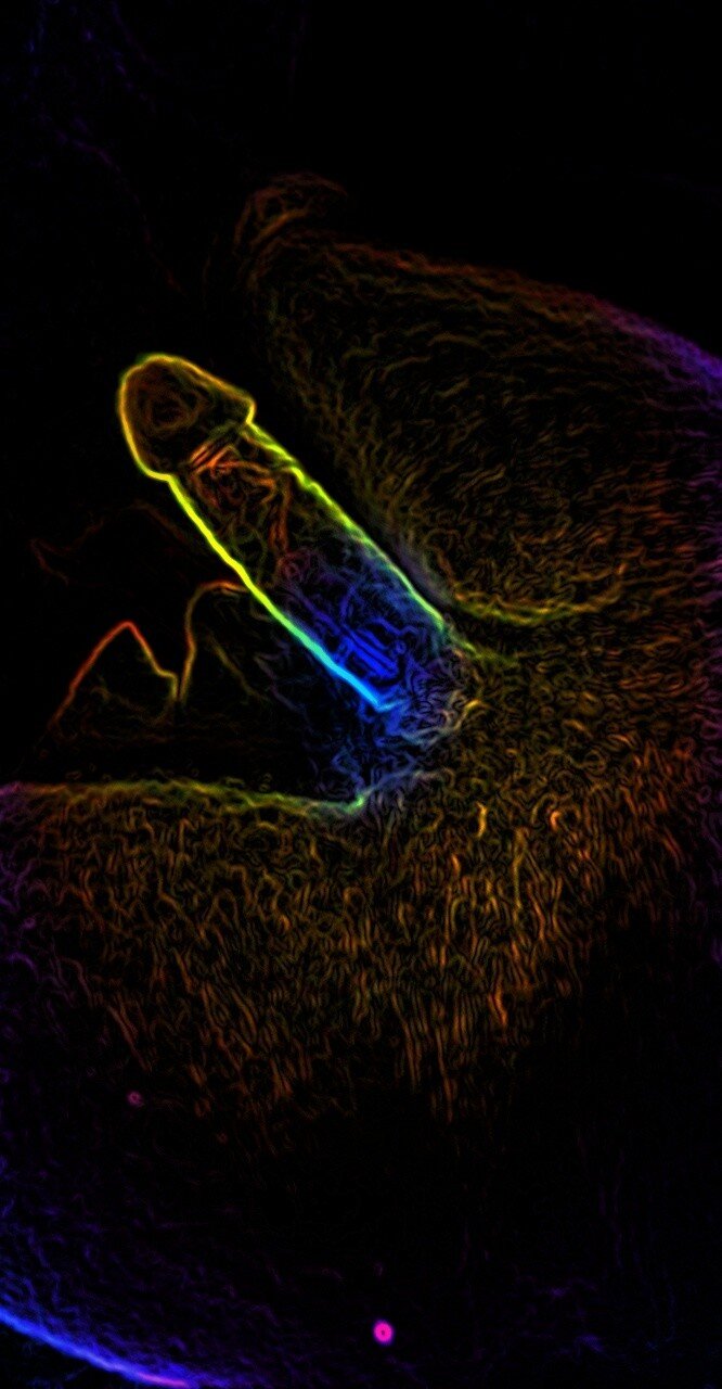 Filtre eğlencesi picture