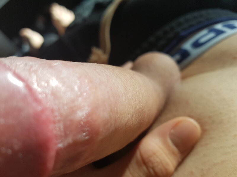 モーニングウッド picture