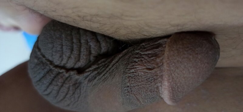 私のペニス picture