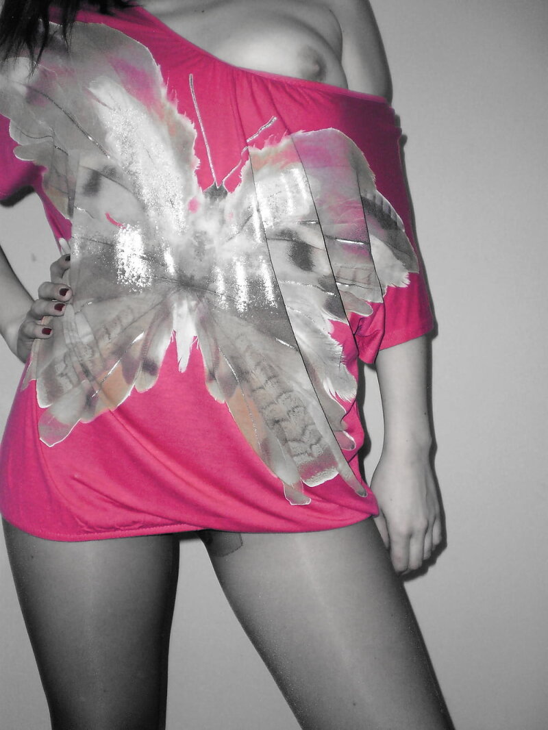 本体 picture