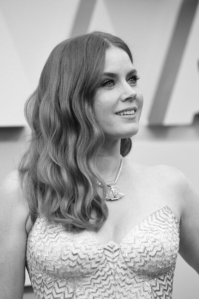 Amy Adams -Oscars 2019 Siyah Beyaz IV picture