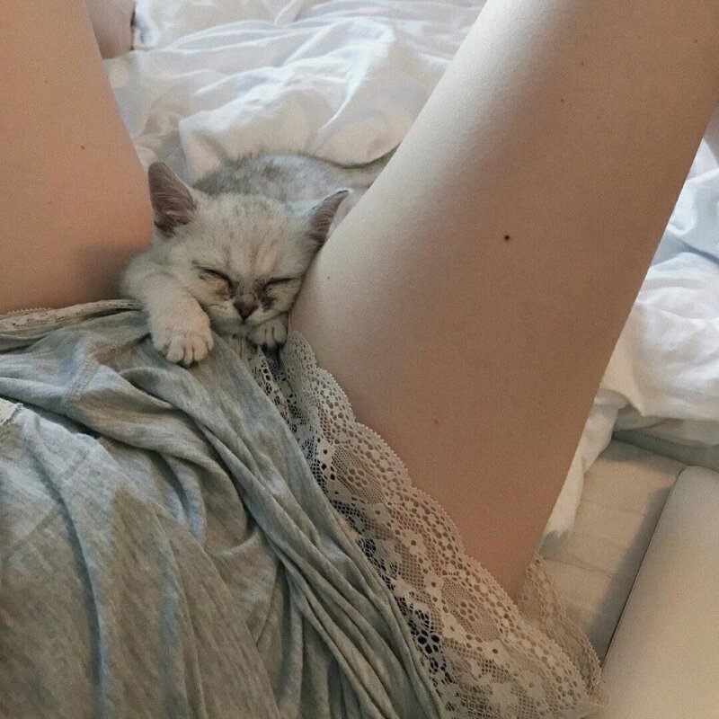 かわいい picture