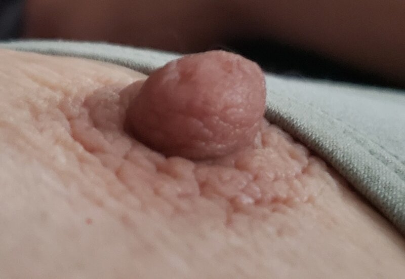 ヴェロニカヴェネツィア乳首 picture