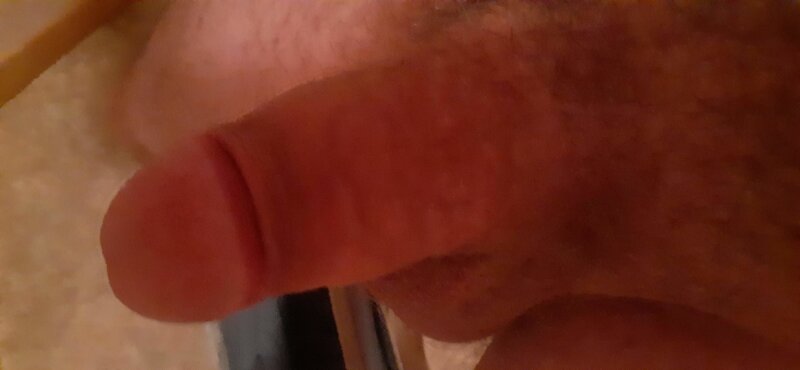 셀프 샷 picture