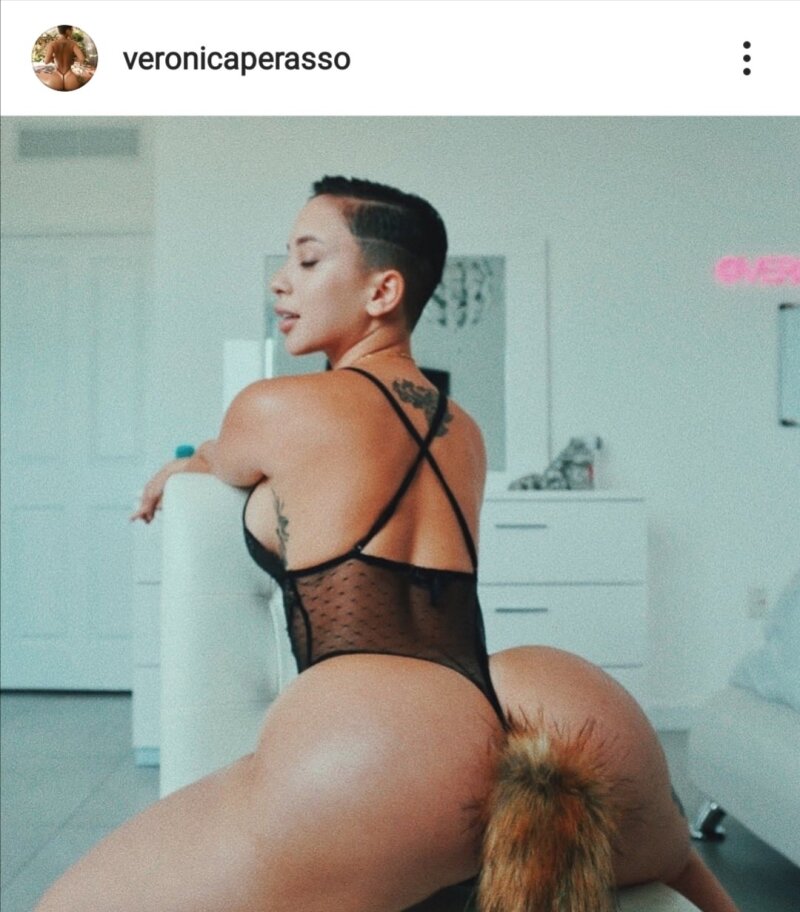セクシーなフォクシー picture