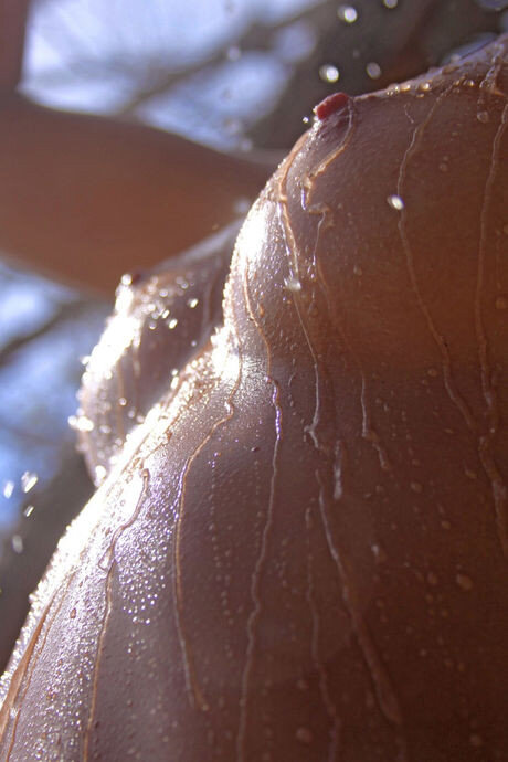 濡れたおっぱい picture