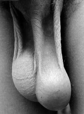 os parecen perfectos yok mu ?, picture