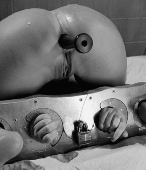 束缚与假阳具在屁股 picture