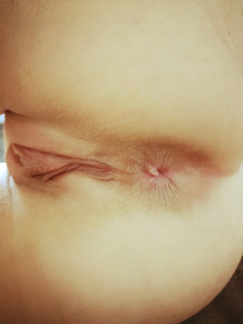 猫とお尻 picture