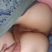  Hairy Pussy  pics