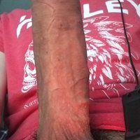  Cock Penis  pics